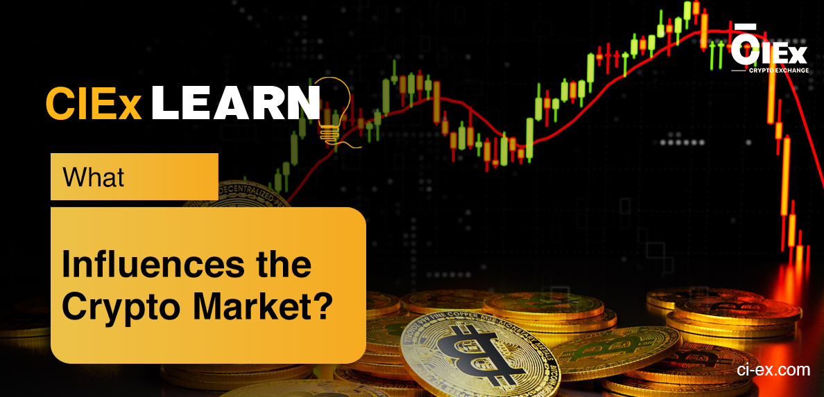 What Influences the Crypto Market?