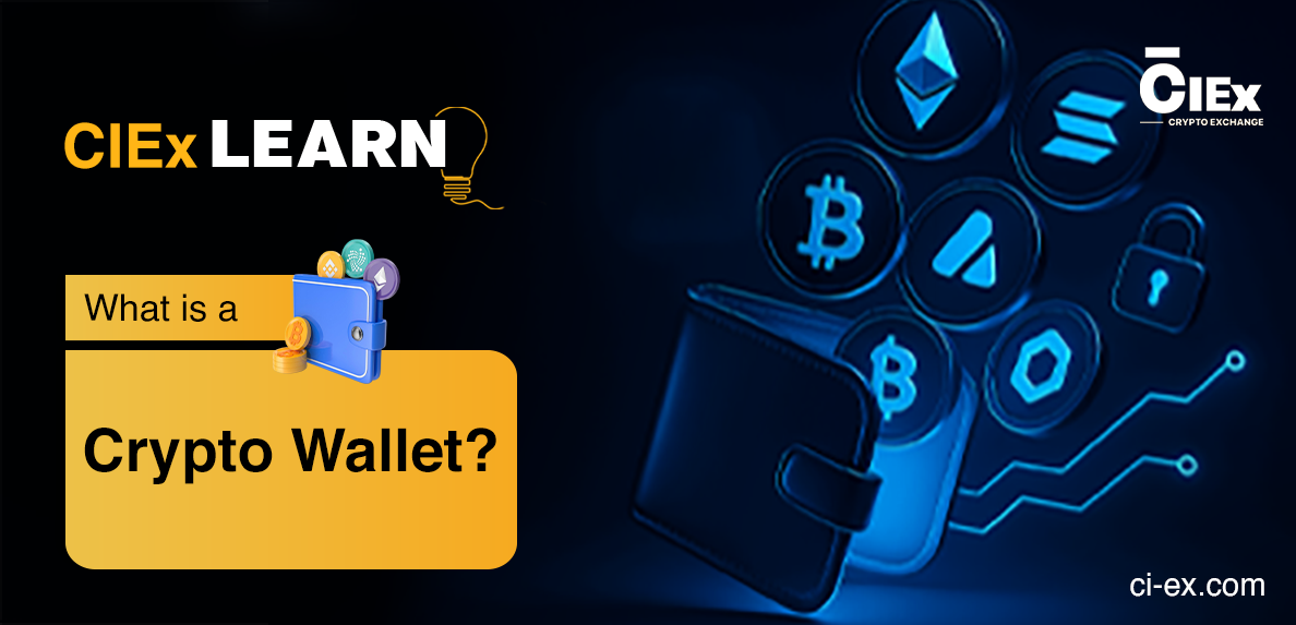 What Is a Crypto Wallet?