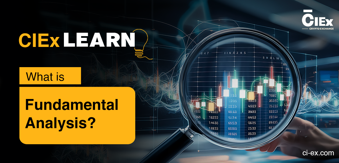What Is Fundamental Analysis?